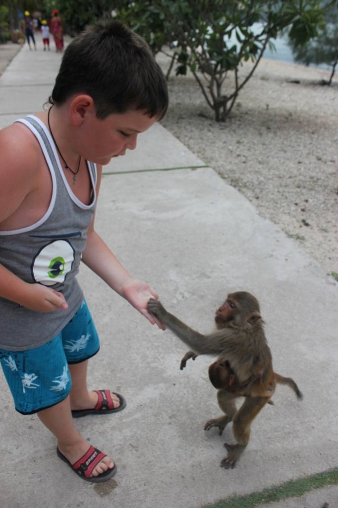 151_11_2015.jpg 151_11_2015.jpg